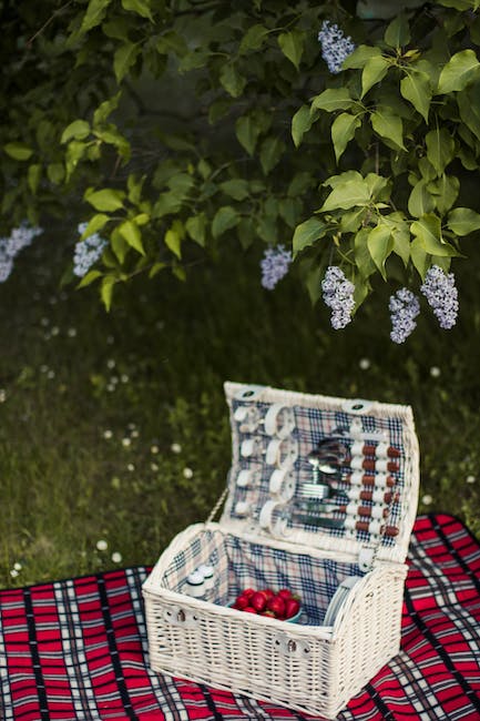 Chic and Functional: Choosing the Perfect Picnic Basket