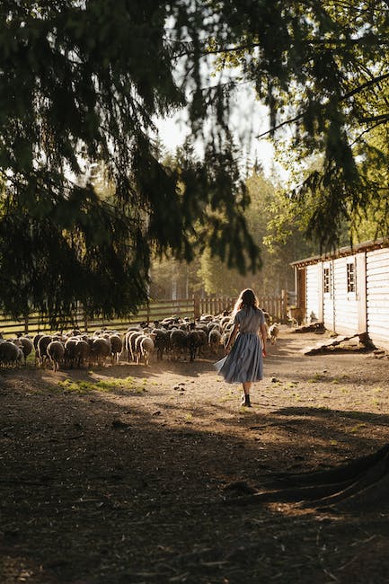 - Barnyard Bliss: Creating a Magical Farm Atmosphere for a Whimsical Children's Party